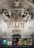 Yellowstone poster
